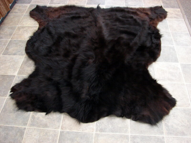 Real Black Bear Fur Tanned Taxidermy Hide Pelt Throw 68 x 64 Craft Blanket, Moose-R-Us.Com Log Cabin Decor