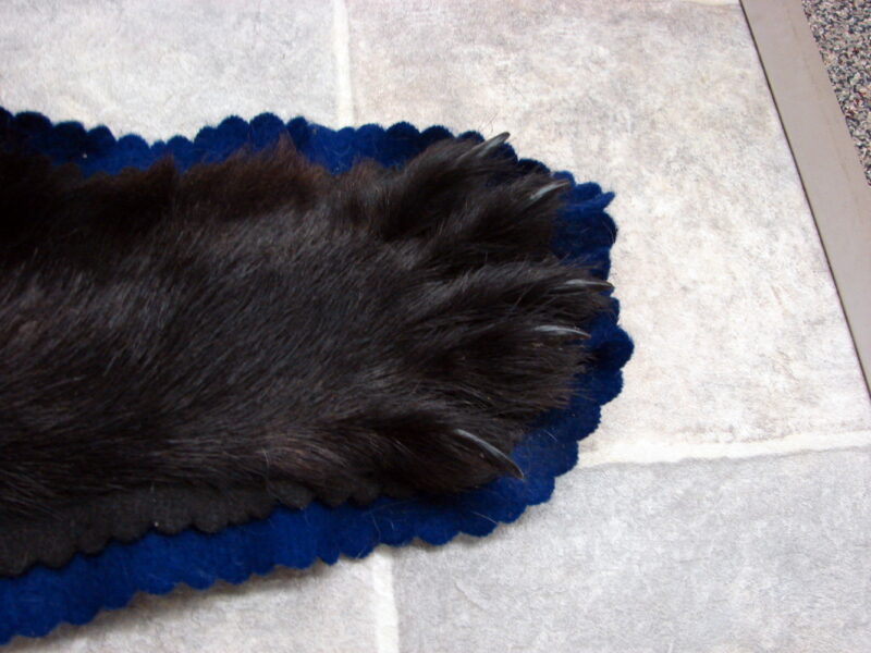 Real Black Bear Rug Taxidermy Hide Pelt Fur Black Royal Blue Felt Open Mouth, Moose-R-Us.Com Log Cabin Decor