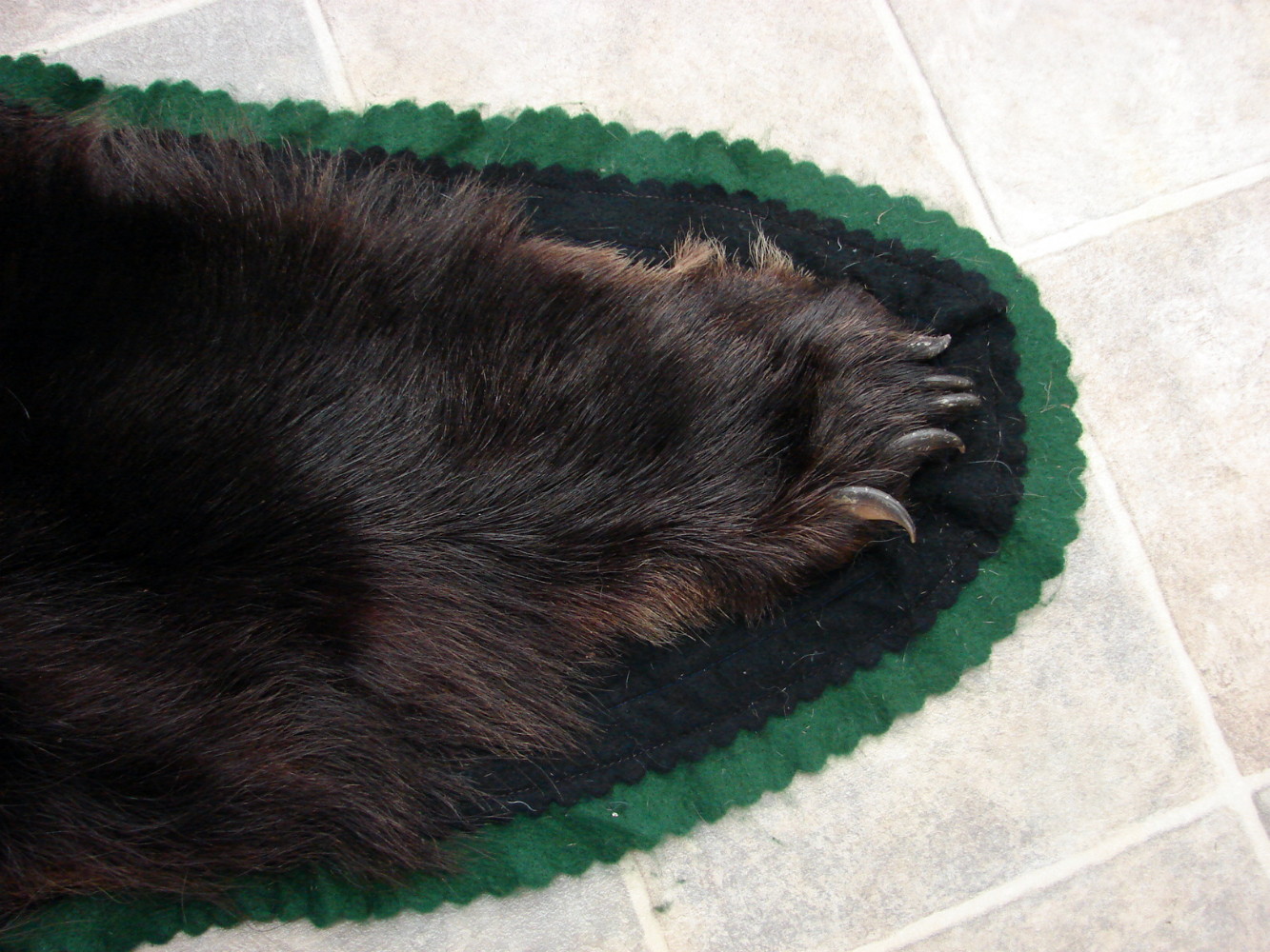 Real Black Bear Rug Taxidermy Hide Pelt Fur Black Forest Green Felt ...