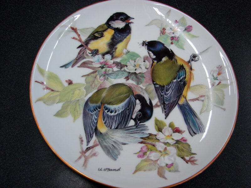 Set/8 Europäische Singvögel von Ursula Band Bird Plate Collection Plates WWF, Moose-R-Us.Com Log Cabin Decor