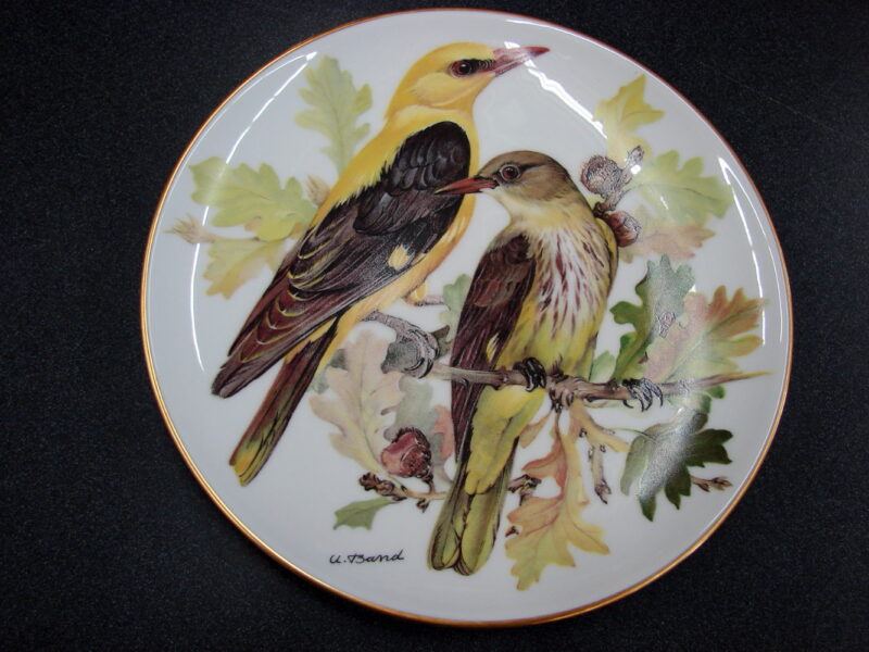 Set/8 Europäische Singvögel von Ursula Band Bird Plate Collection Plates WWF, Moose-R-Us.Com Log Cabin Decor