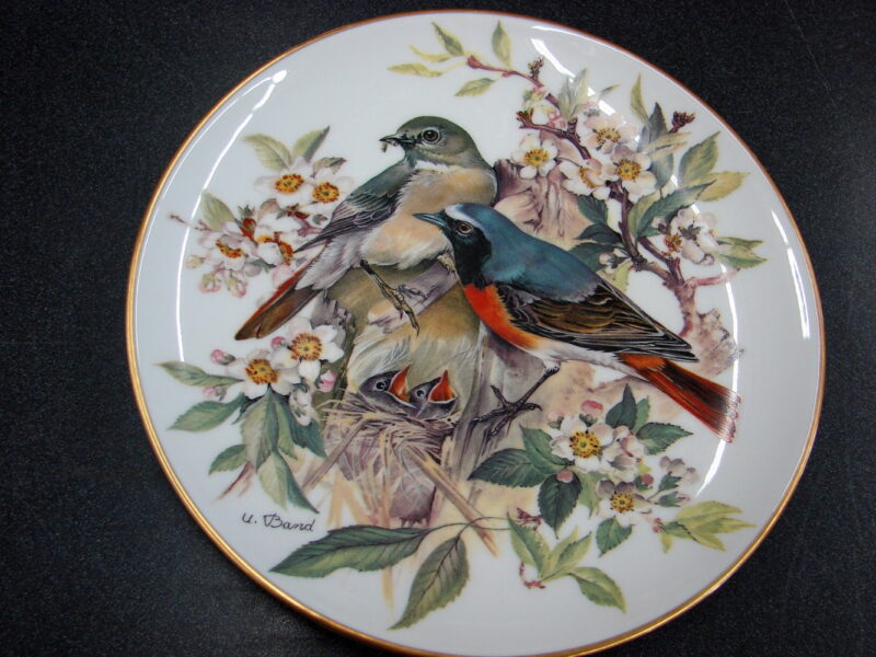 Set/8 Europäische Singvögel von Ursula Band Bird Plate Collection Plates WWF, Moose-R-Us.Com Log Cabin Decor