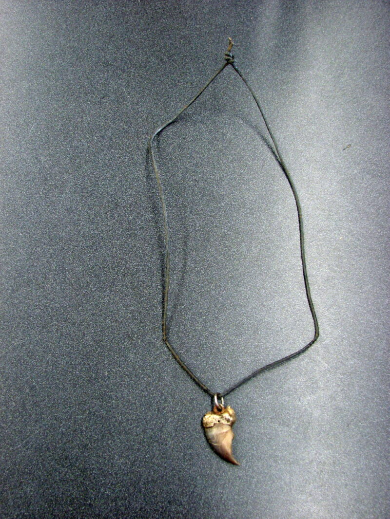 Vintage Real Authentic Bear Claw Necklace Totem Simple Leather Cord, Moose-R-Us.Com Log Cabin Decor