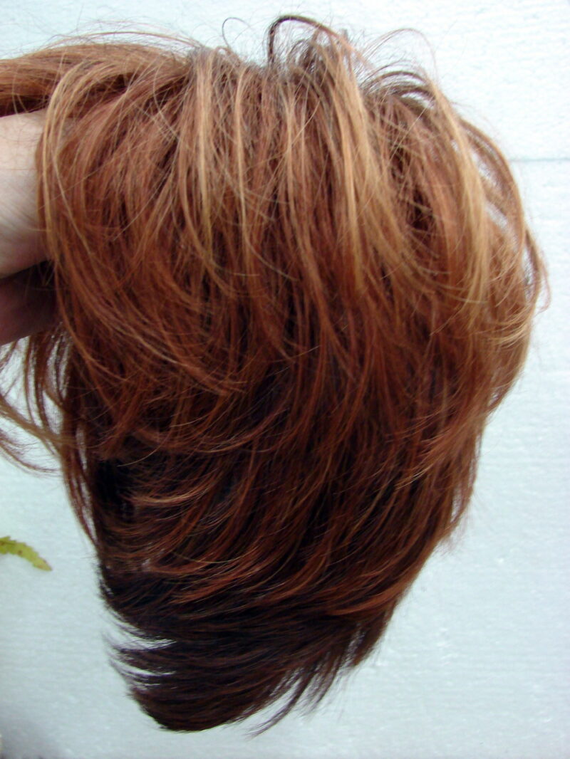 Paula Young Debut Avg Red Tone Wig Like New w/ Box, Moose-R-Us.Com Log Cabin Decor