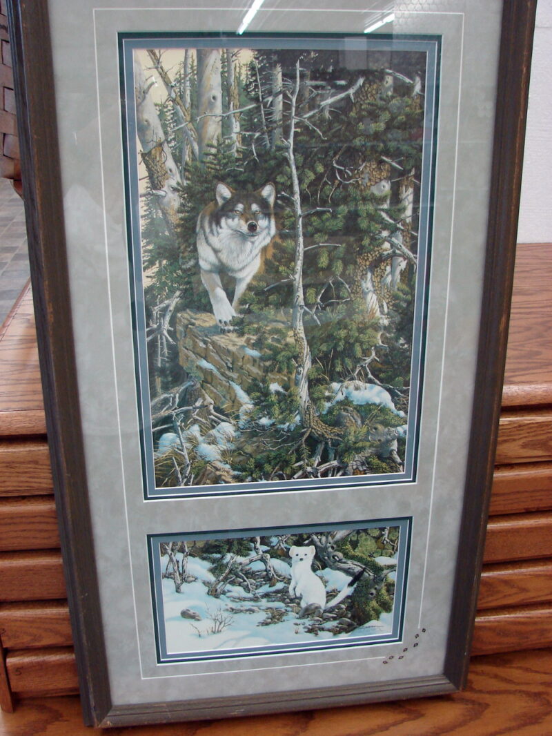 Derk Hansen Oak Framed Matted Eyes of the Wild Winter Wolf Weasel Double Print, Moose-R-Us.Com Log Cabin Decor