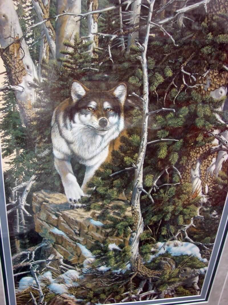 Derk Hansen Oak Framed Matted Eyes of the Wild Winter Wolf Weasel Double Print, Moose-R-Us.Com Log Cabin Decor