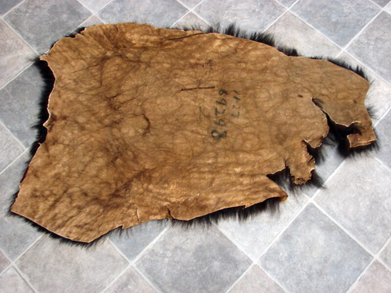 Vintage Real Black Bear Taxidermy Hide Pelt Fur Craft 46 x 32&#8243;, Moose-R-Us.Com Log Cabin Decor