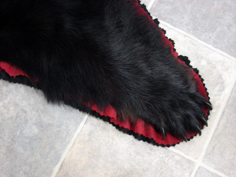 Real Black Bear Rug Taxidermy Hide Pelt Fur Cranberry Black Super Thick, Moose-R-Us.Com Log Cabin Decor