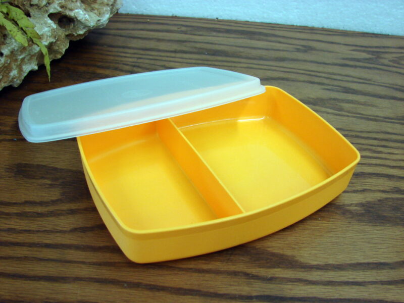 Tupperware Divided Lunch Snack Sandwich Storage Container 813 Set/2, Moose-R-Us.Com Log Cabin Decor