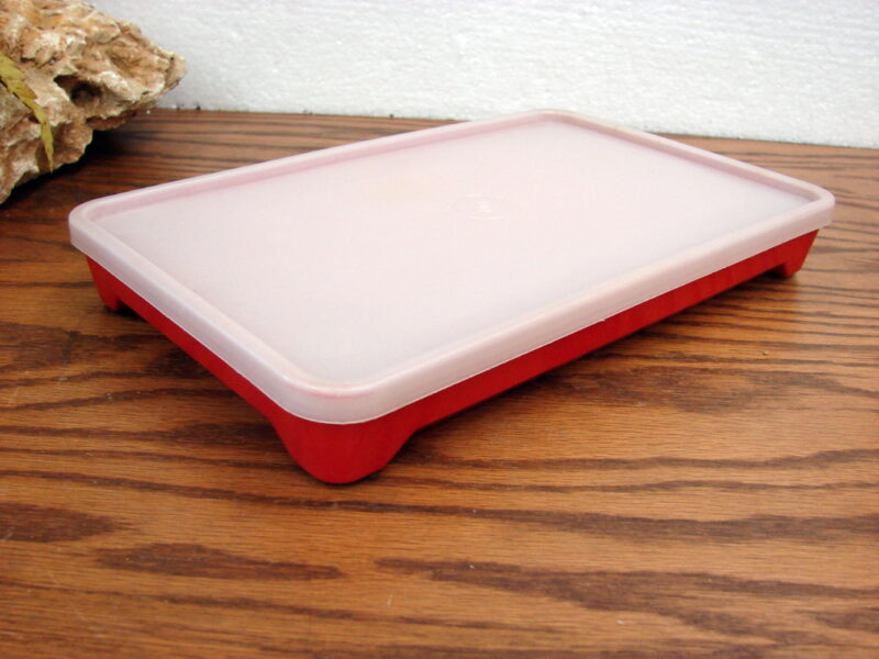 Vintage Tupperware #1292 Bacon Lunch Meat Deli Keeper Marinade, Moose-R-Us.Com Log Cabin Decor