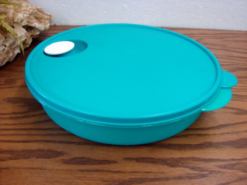 Tupperware Divided Dish Microwave Vented Lid #3284 Turquoise, Moose-R-Us.Com Log Cabin Decor