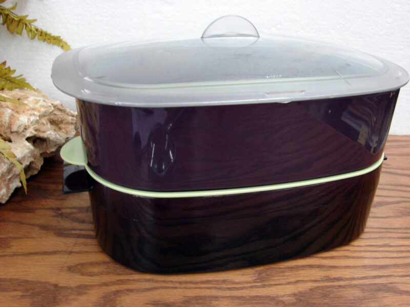 Tupperware Steamer Multi Level Sectional Eggplant/Mint #4145, Moose-R-Us.Com Log Cabin Decor