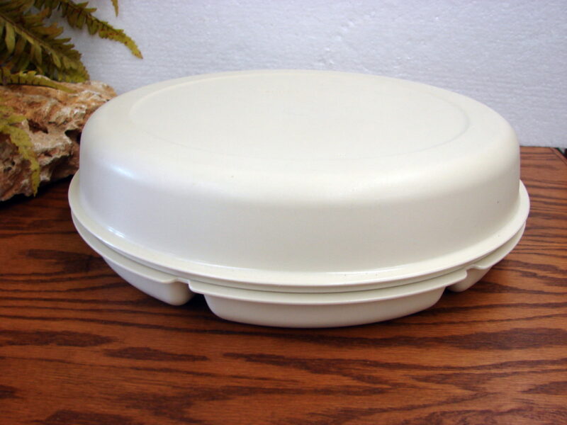 Vintage Tupperware #1666 1665 Divided Serving Tray w/ Lid, Moose-R-Us.Com Log Cabin Decor