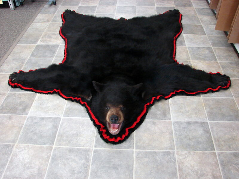 Real Black Bear Rug Taxidermy Hide Pelt Fur Red Black Felt Open Mouth, Moose-R-Us.Com Log Cabin Decor