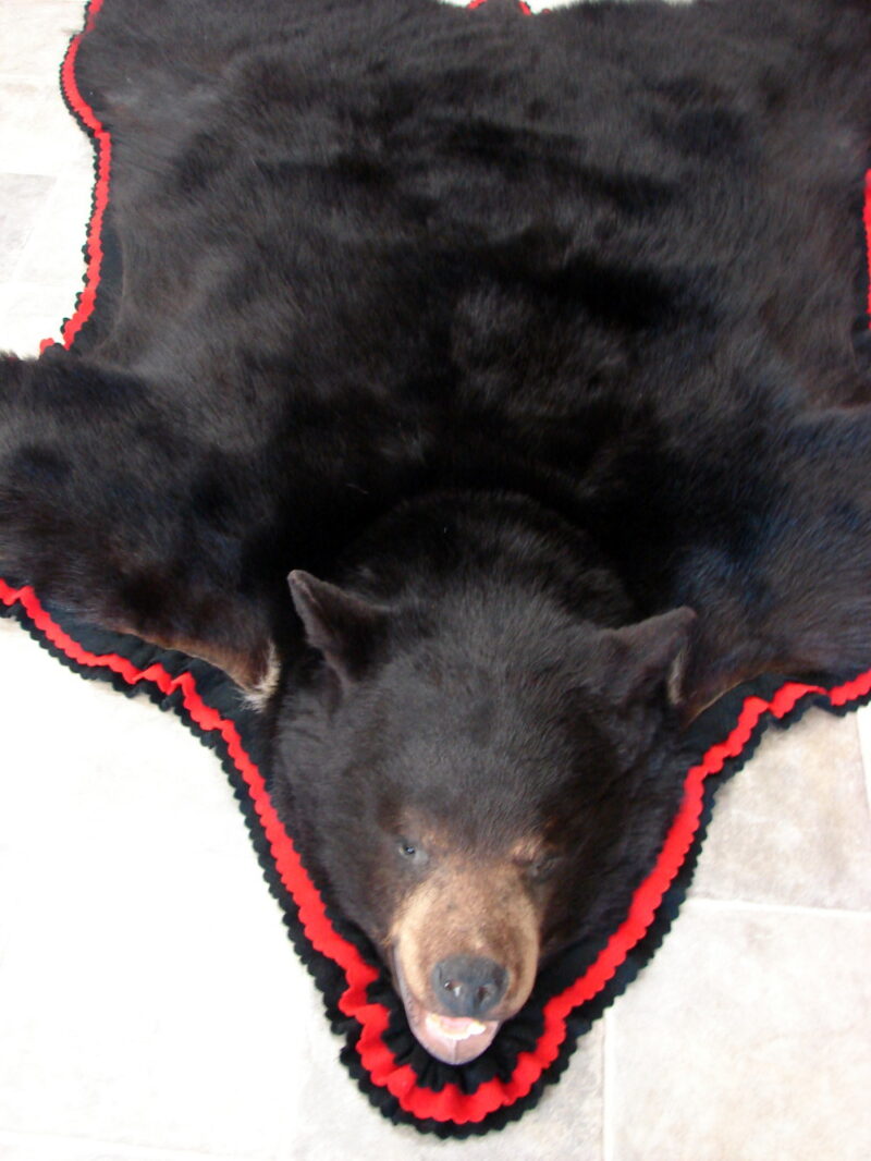 Real Black Bear Rug Taxidermy Hide Pelt Fur Red Black Felt Open Mouth, Moose-R-Us.Com Log Cabin Decor