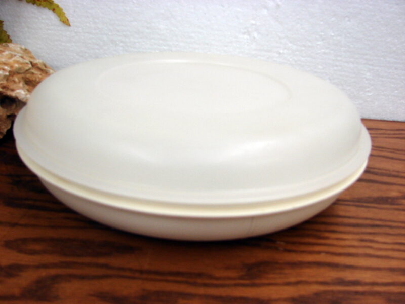 Vintage Tupperware Divided Vegetable Serving Container Almond Color #1708, Moose-R-Us.Com Log Cabin Decor