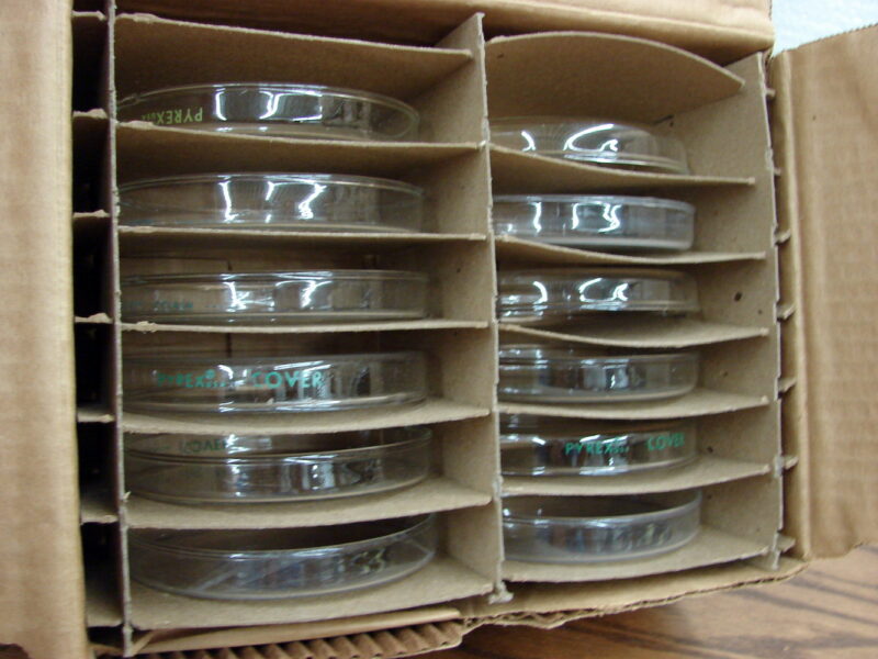 Vintage PYREX Culture Petri Dish Covers Only Original Box 12 pcs, Moose-R-Us.Com Log Cabin Decor