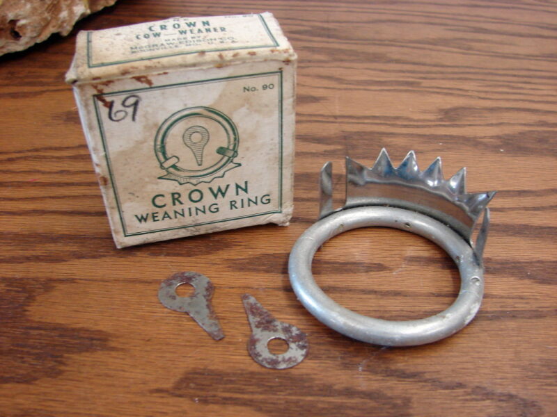 Antique Box Calf Weaning Ring Crow Brand w/ Keys No. 90 Cow Ranch, Moose-R-Us.Com Log Cabin Decor