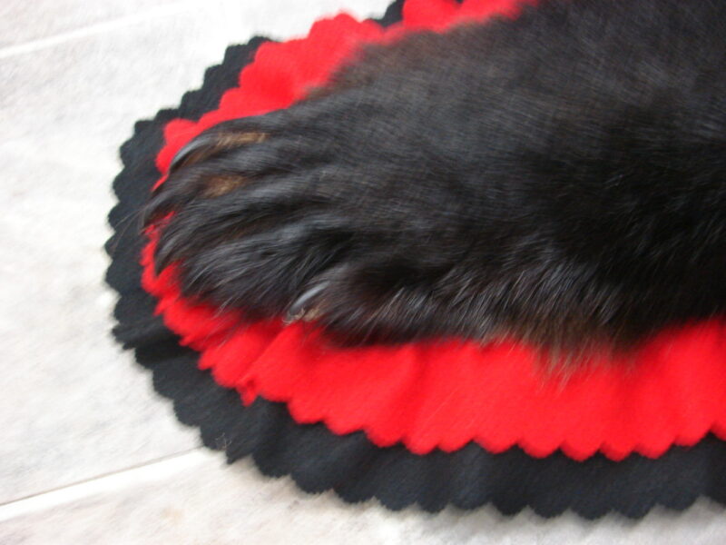 Real Black Bear Rug Taxidermy Hide Pelt Fur Compact Red Black Felt Open Mouth, Moose-R-Us.Com Log Cabin Decor