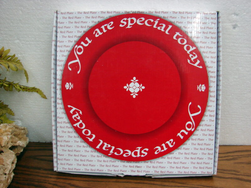 Brand New Waechtersbach You Are Special Today Plate Cherry Red w/ Box, Moose-R-Us.Com Log Cabin Decor