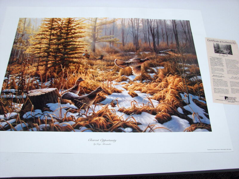 NOS Print Greg Alexander Clearcut Opportunity Ruffed Grouse, Moose-R-Us.Com Log Cabin Decor