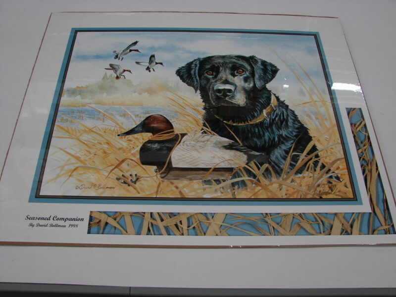 NOS Print David Bollman Seasoned Companion Black Lab Canvas Back Duck Decoy, Moose-R-Us.Com Log Cabin Decor