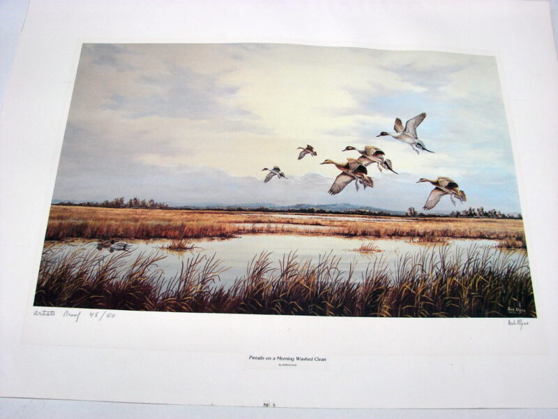 NOS Print Bob Elgas Pintails Morning Washed Clean Artists Proof, Moose-R-Us.Com Log Cabin Decor