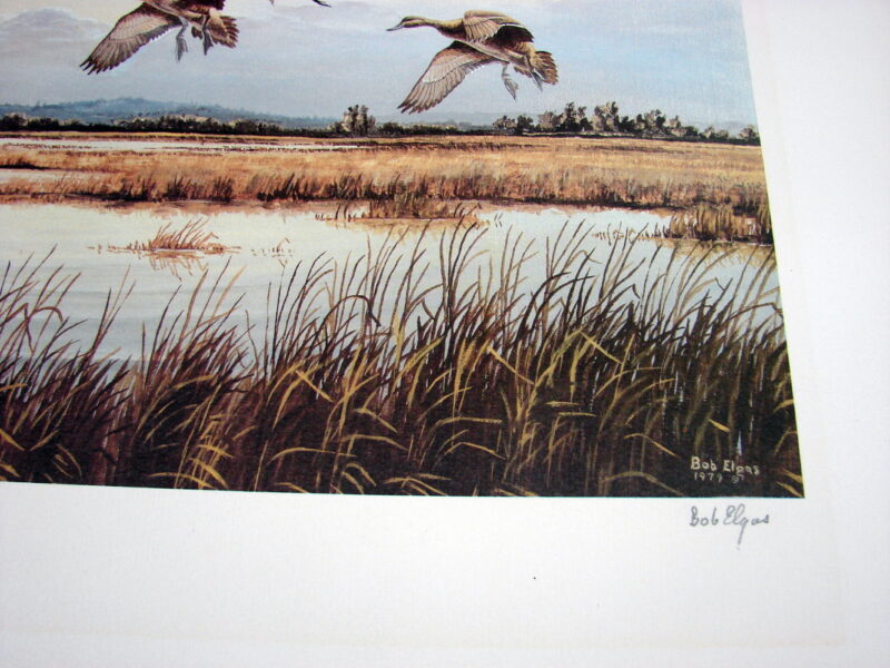 NOS Print Bob Elgas Pintails Morning Washed Clean Artists Proof, Moose-R-Us.Com Log Cabin Decor