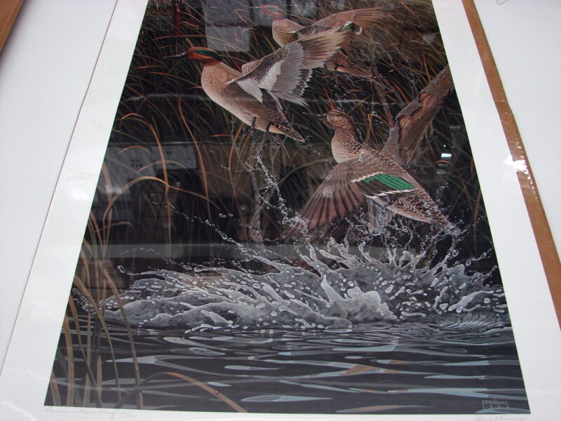 NOS Print JB Williams Wet and Wild Conservation Proof 26/30 Green Wing Teal, Moose-R-Us.Com Log Cabin Decor