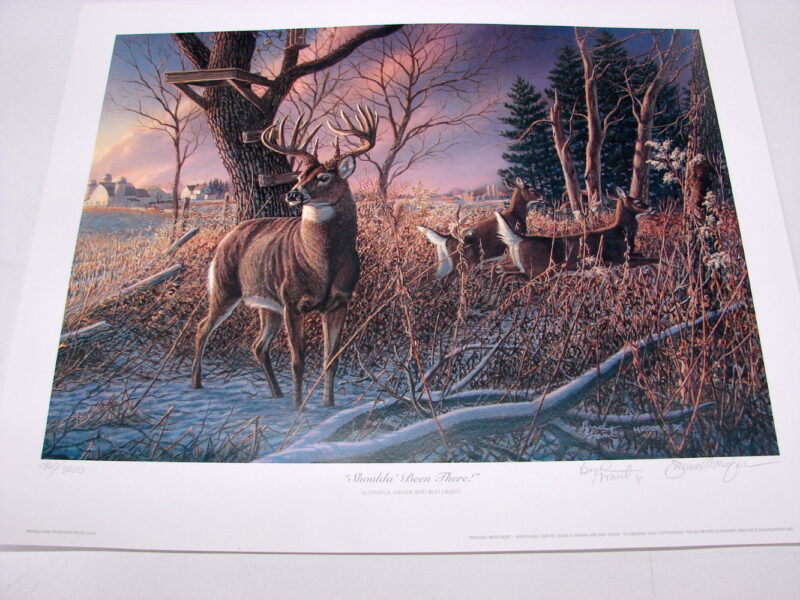 NOS Print James Meger Bud Grant Whitetail Deer Shoulda Been There, Moose-R-Us.Com Log Cabin Decor