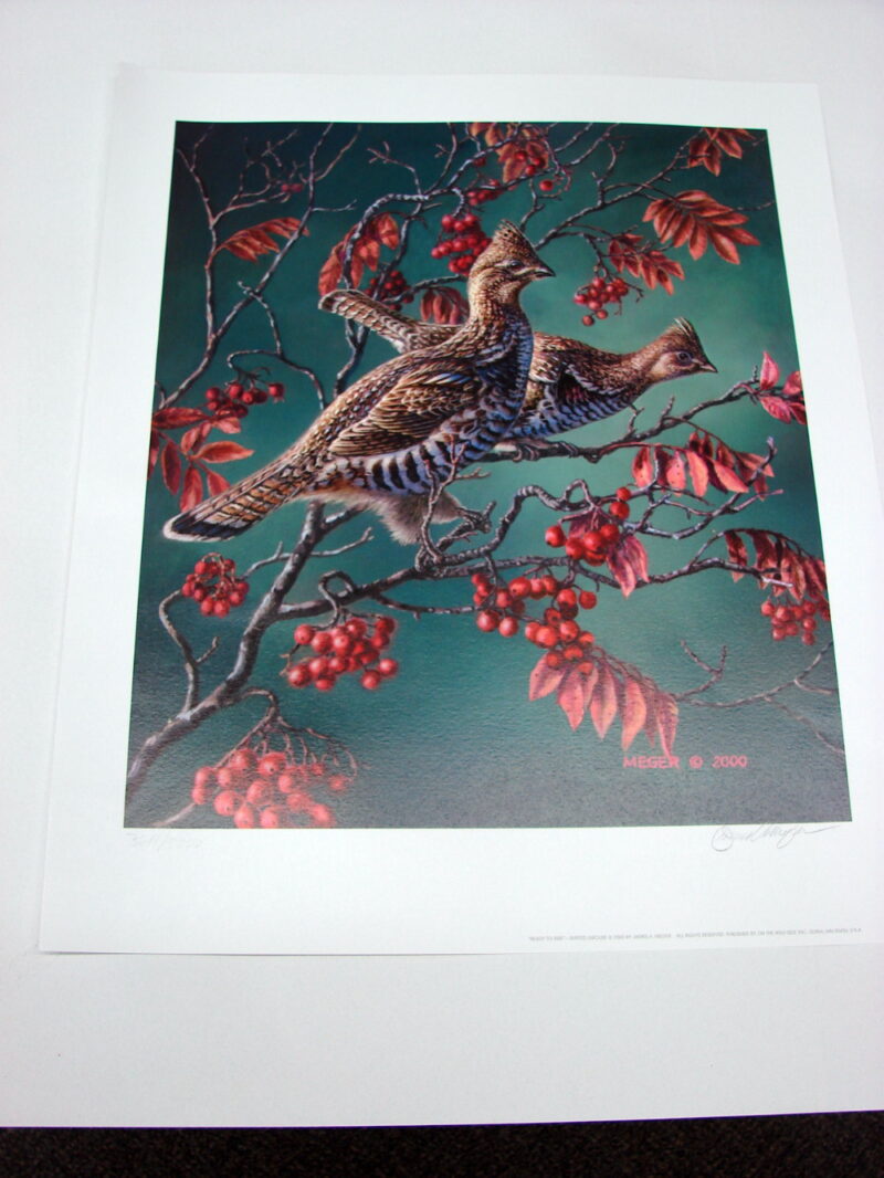 NOS Print James Meger Ready to Rise Ruffed Grouse Winter Sumac, Moose-R-Us.Com Log Cabin Decor