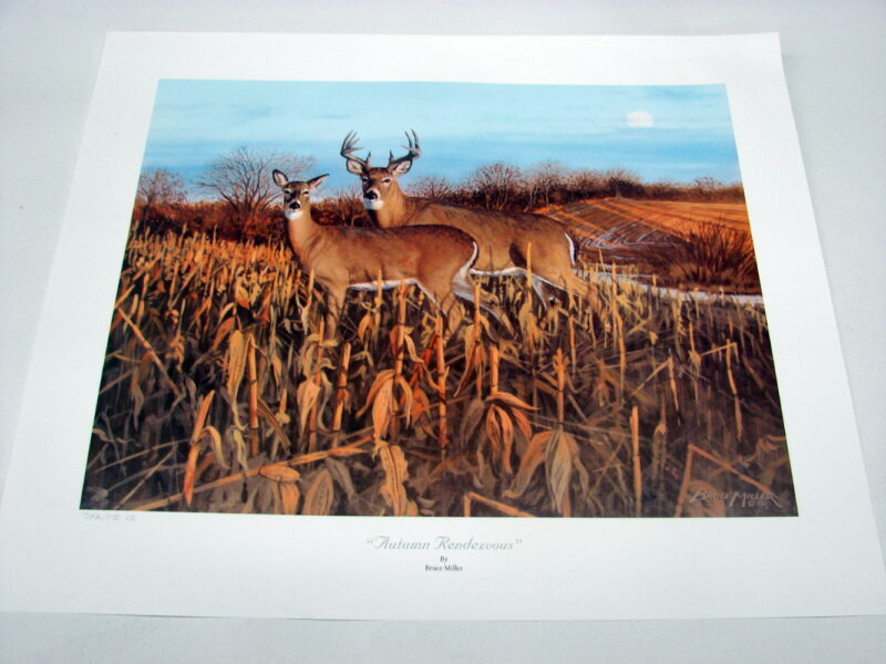 NOS Print Set/2 Bruce Miller Autumn Rendezvous and Autumn Gold Whitetail Deer, Moose-R-Us.Com Log Cabin Decor