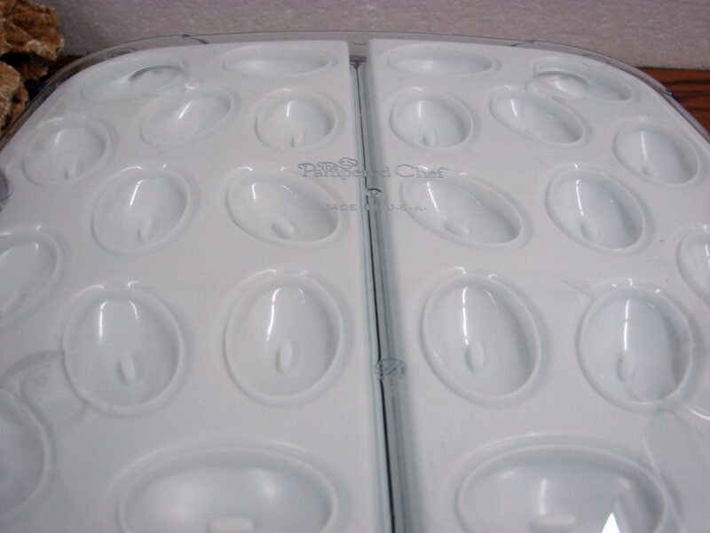 Pampered Chef #2292 Large Cool &#8216;n Serve Tray Vegetable Deviled Egg 6 Pieces, Moose-R-Us.Com Log Cabin Decor