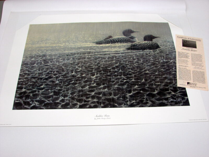 NOS Print John Seerey-Lester Sudden Rain Loons on A Lake Black/White, Moose-R-Us.Com Log Cabin Decor