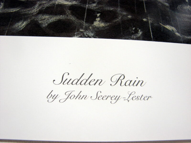 NOS Print John Seerey-Lester Sudden Rain Loons on A Lake Black/White, Moose-R-Us.Com Log Cabin Decor