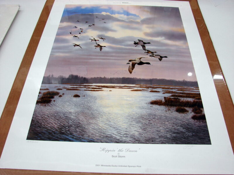 NOS Print Scot Storm Rippin&#8217; the Dawn Bluebill &#038; Canvas Back Ducks, Moose-R-Us.Com Log Cabin Decor