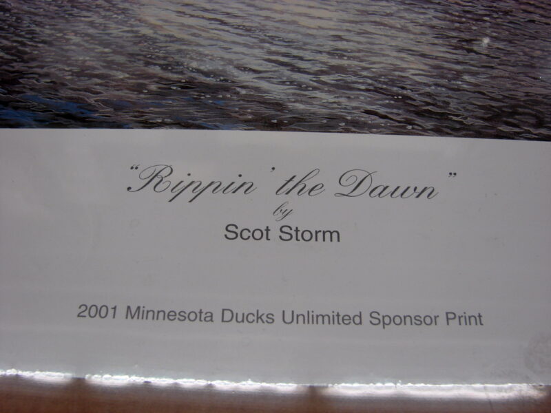 NOS Print Scot Storm Rippin&#8217; the Dawn Bluebill &#038; Canvas Back Ducks, Moose-R-Us.Com Log Cabin Decor