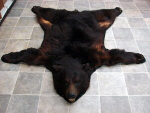 Newer Real Shiny Black Bear Skin Rug Cranberry Red Double Felt, Moose-R-Us.Com Log Cabin Decor