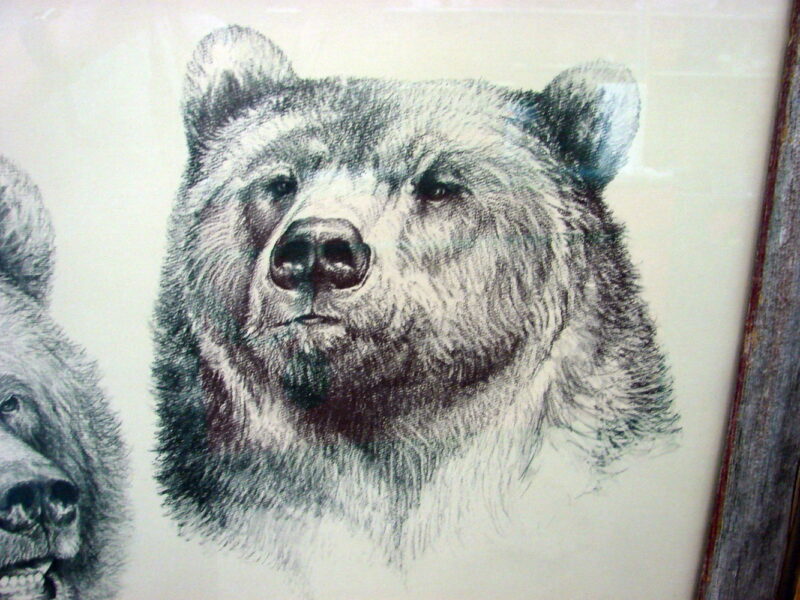 Doug Lindstrand 1976 Alaska Grizzlies Bear Sketch Print Limited Edition Signed Barn Wood, Moose-R-Us.Com Log Cabin Decor