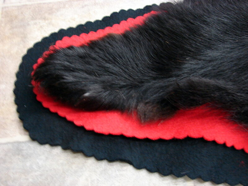 Real Black Bear Rug Taxidermy Hide Pelt Fur Red Black Felt Closed Mouth, Moose-R-Us.Com Log Cabin Decor