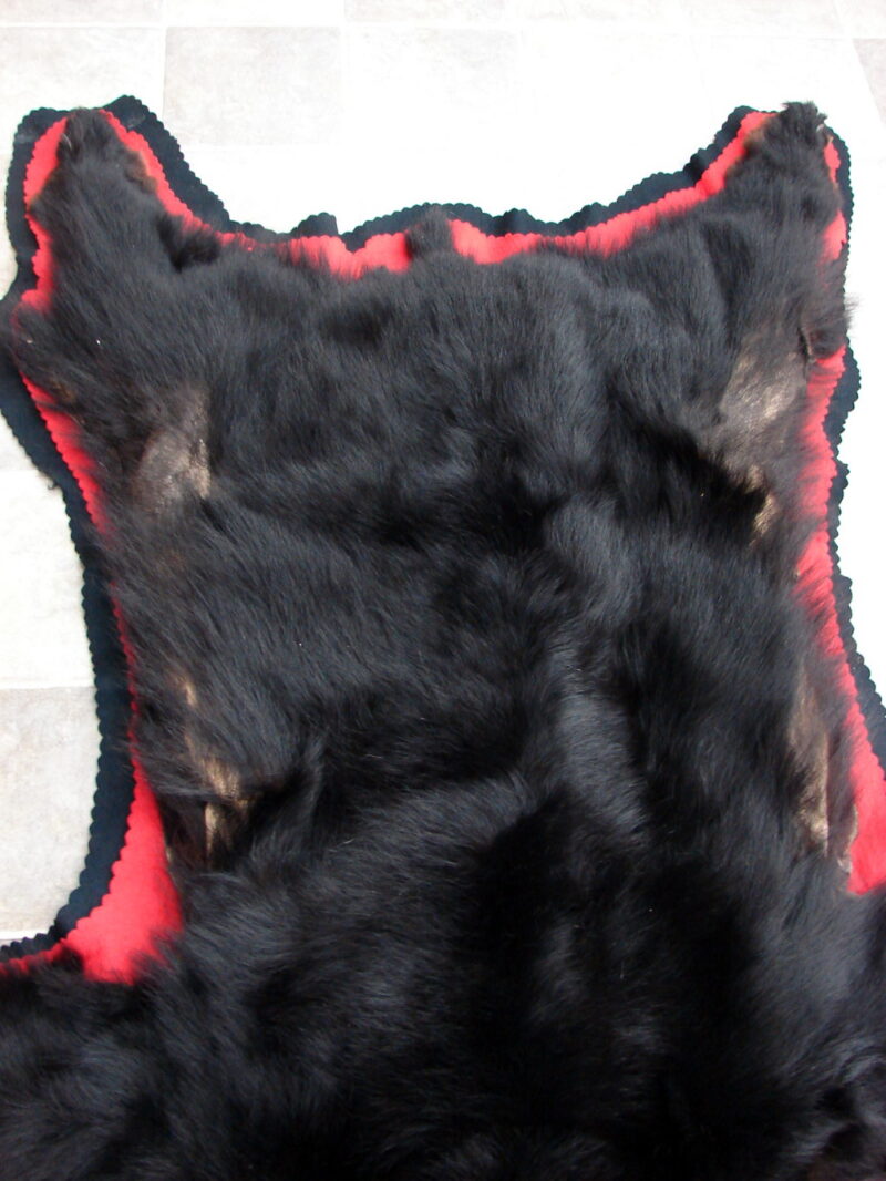 Real Black Bear Rug Taxidermy Hide Pelt Fur Red Black Felt Closed Mouth, Moose-R-Us.Com Log Cabin Decor